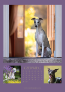 Kalendarz CHARTY 2026 - 7