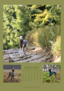 Kalendarz CHARTY 2026 - 5