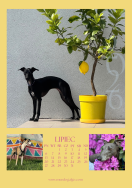 Kalendarz CHARTY 2026 - 8