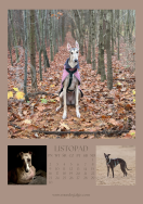 Kalendarz CHARTY 2026 - 12