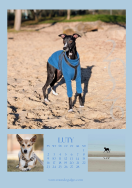 Kalendarz CHARTY 2026 - 3