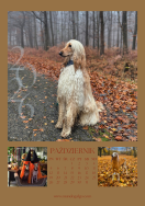 Kalendarz CHARTY 2026 - 11