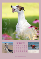 Kalendarz CHARTY 2026 - 9