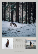 Kalendarz CHARTY 2026 - 2