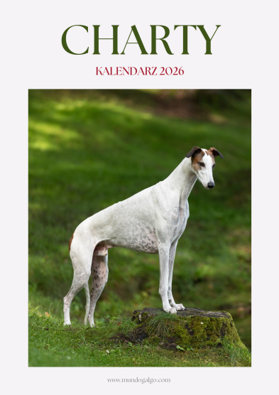 Kalendarz CHARTY 2026