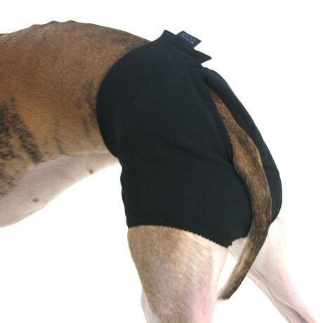 Majtki dla charta fioletowy melanż