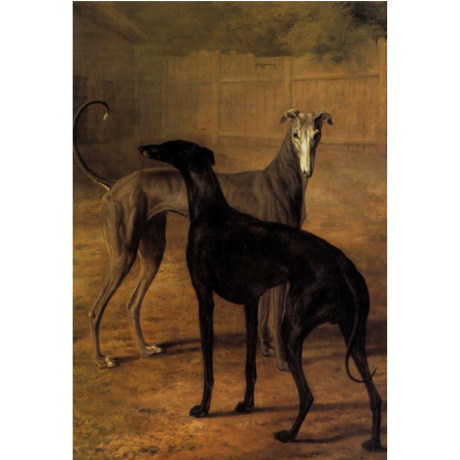 Pocztówka Sighthounds in Art No. 5