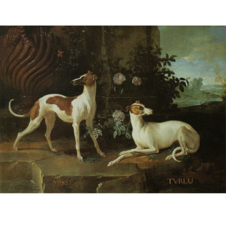 Pocztówka Sighthounds in Art No. 1