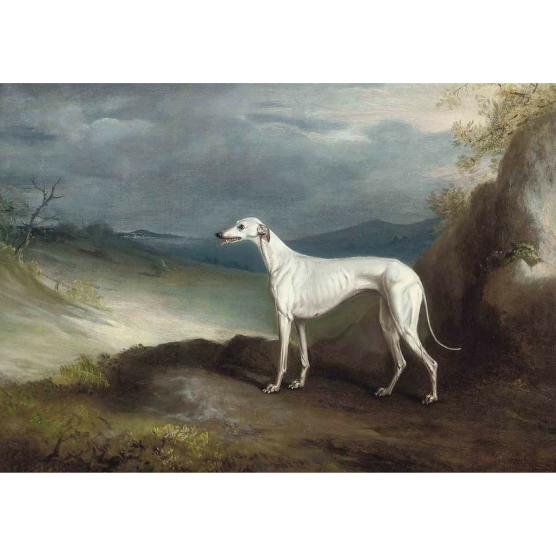 Pocztówka Sighthounds in Art No. 6
