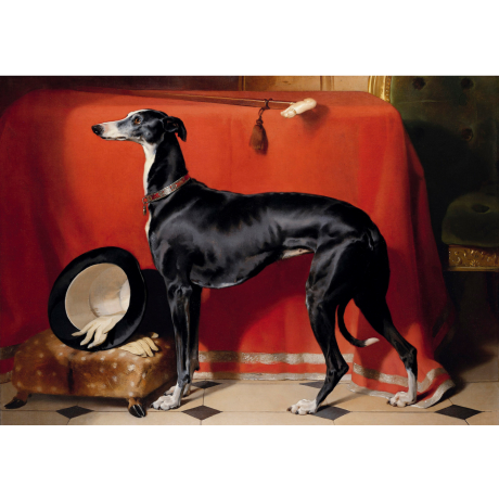 Pocztówka Sighthounds in Art No. 9