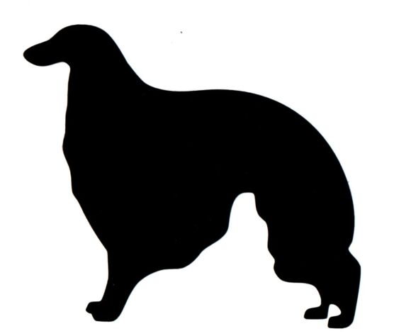 Naklejka Borzoi
