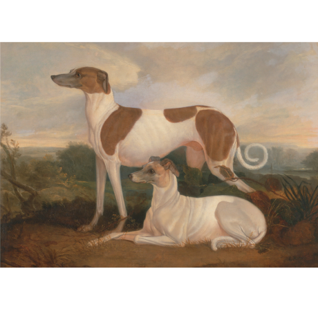 Pocztówka Sighthounds in Art No. 10