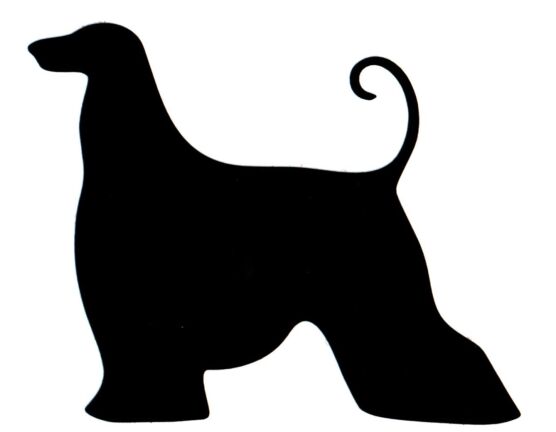 Naklejka Afghan Hound