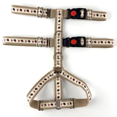 Komplet: szelki, smycz, zaczep PTASZKI